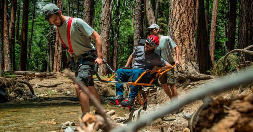 persona en silla de ruedas en un bosque