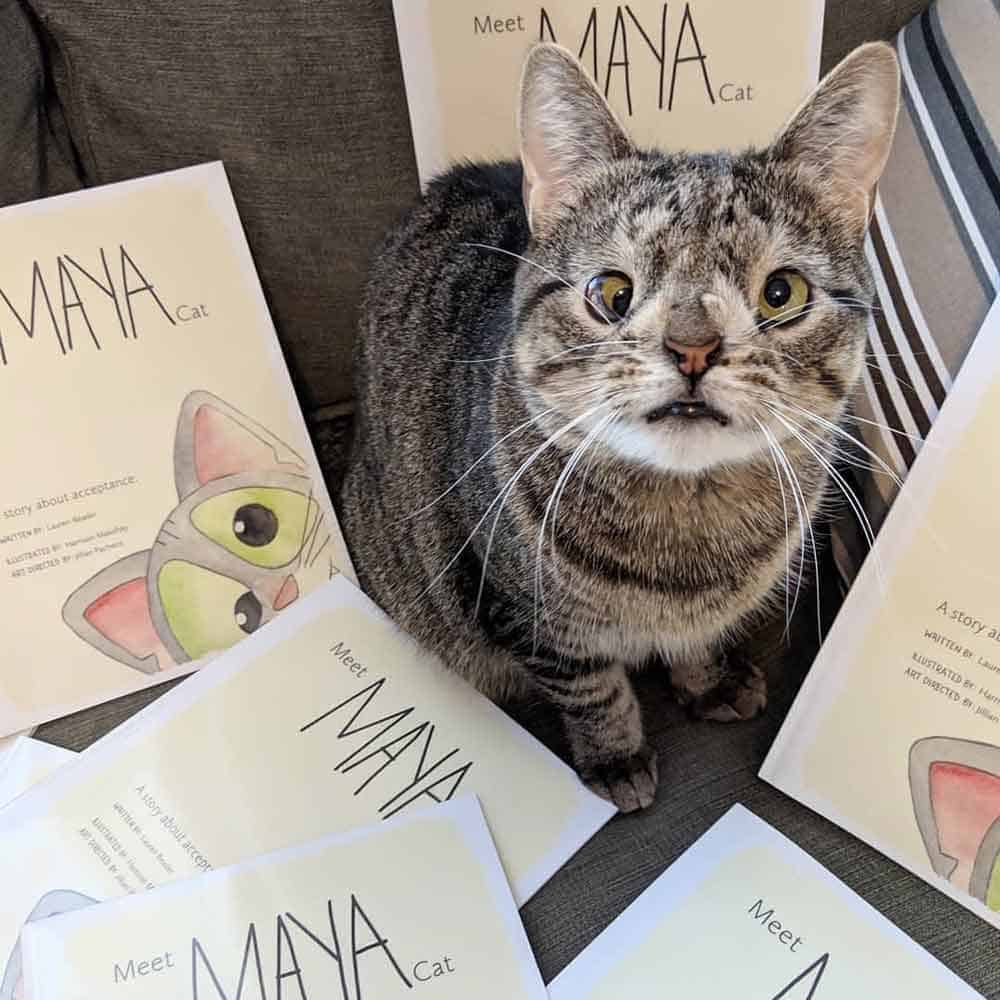 Una gata con un trastorno genético (su cuerpo es igual a cualquier gato, pero su cara cambia un poco, especialmente sus ojos) mira a la cámara y está rodeada de los libros que escribió su dueña.