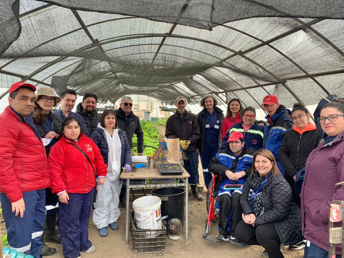 Foto de un grupo de personas con discapacidad dentro de un invernadero durante una capacitación de trabajo