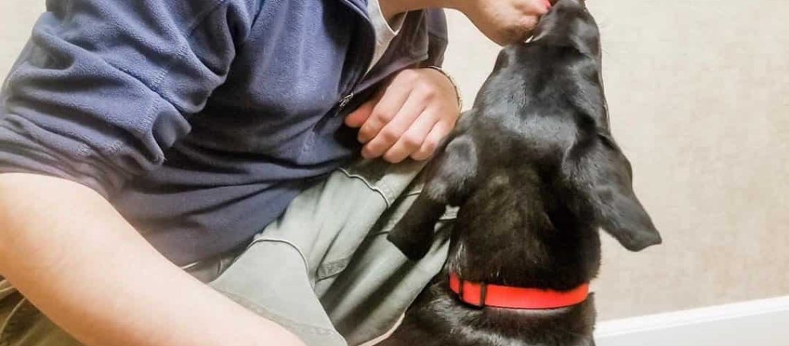 Un joven siendo lamido por su perro en la cara