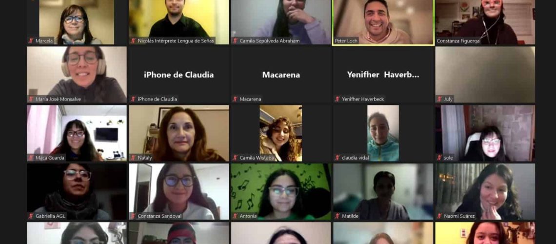 Taller periodismo inclusivo zoom2