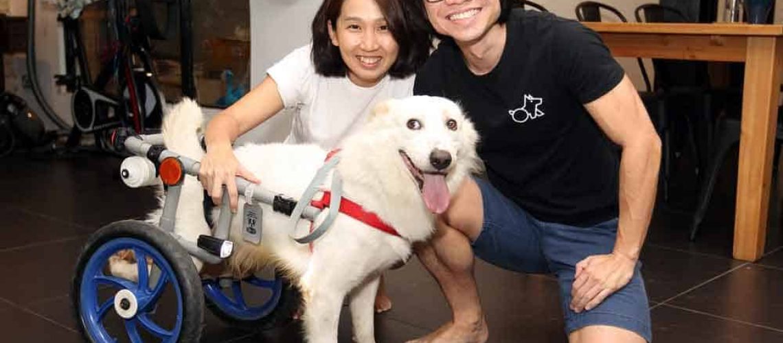 En una casa, aparece una mujer, un hombre y un perro en silla de ruedas. Están sonriendo a la cámara.