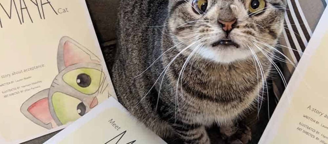 Una gata con un trastorno genético (su cuerpo es igual a cualquier gato, pero su cara cambia un poco, especialmente sus ojos) mira a la cámara y está rodeada de los libros que escribió su dueña.