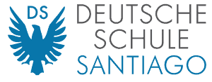 LOGO-DSS-Color-1-2-300x117