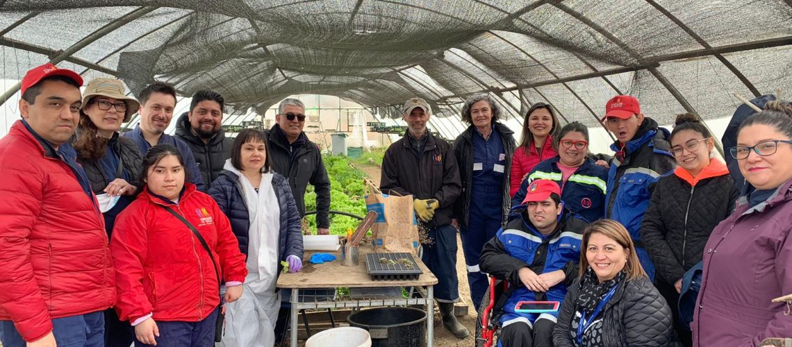 Foto de un grupo de personas con discapacidad dentro de un invernadero durante una capacitación de trabajo